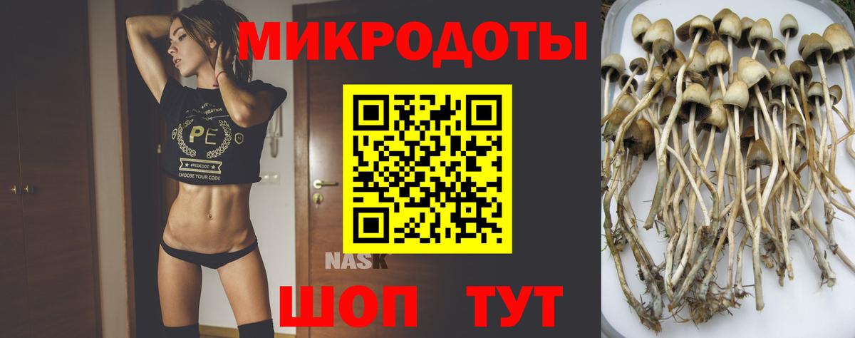 Галлюциногенные грибы ЛСД  Вход с VPN  что такое   Псилоцибиновые грибы мухоморы  Миллерово 