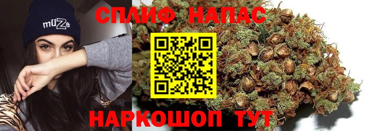 Миллерово  Бошки марихуана семена  Каннабис Amnesia  Вход с VPN  Канабис гибрид  Канабис планчик 
